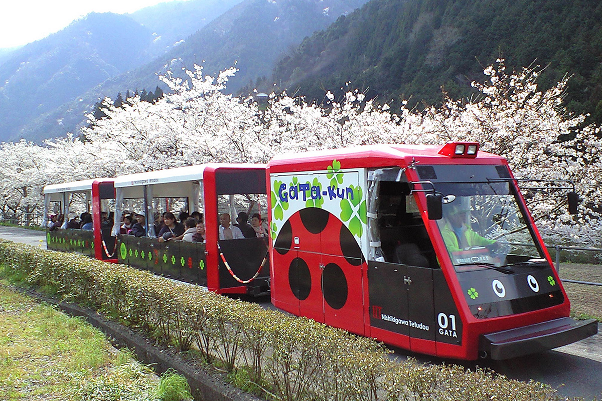 Tokotoko Train（观光游览电动车）