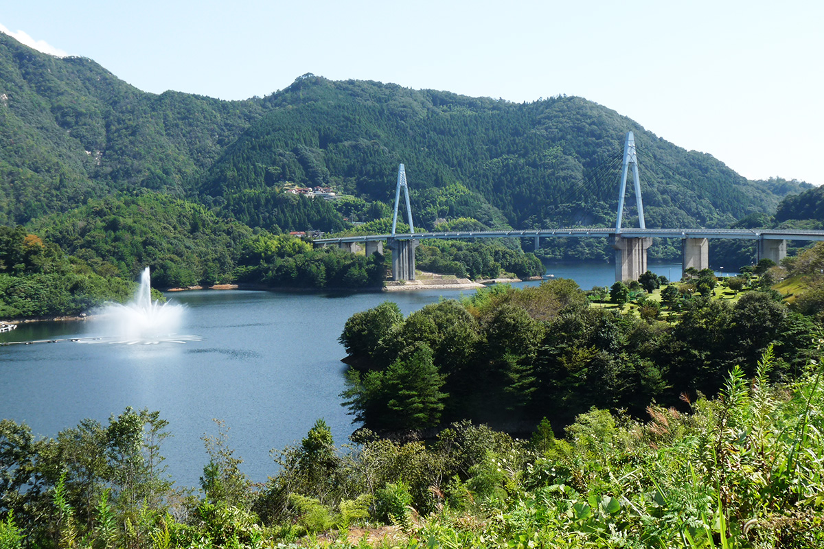 Facilities Around Lake Yasaka