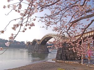 Kintaikyo Bridge -spring- 1
