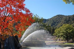 Kikko Park -autumn-