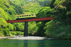 Nishikigawa Seiryu Line -summer-