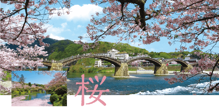 ぎゅっと岩国2018春・夏号 桜＋花の散策
