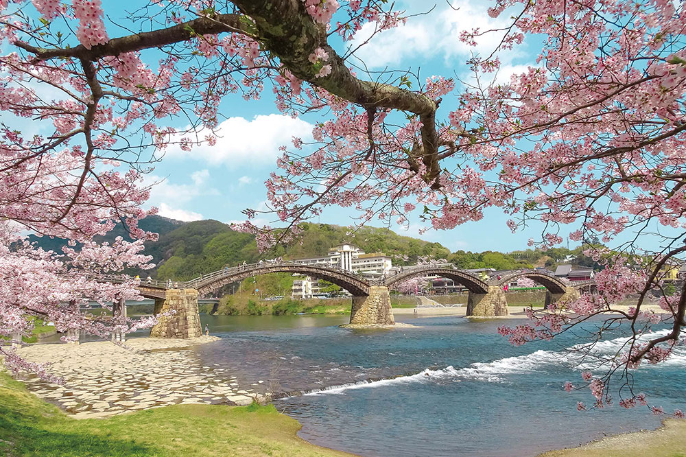 錦帯橋周辺の花　イメージ写真
