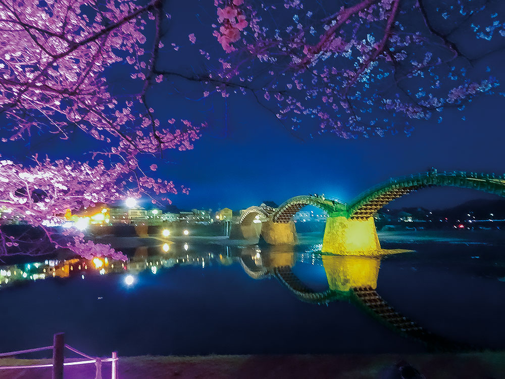 錦帯橋周辺の花　イメージ写真