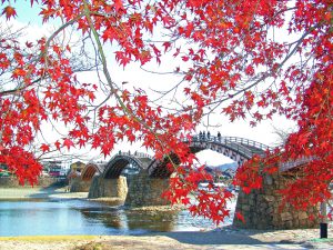 Kintaikyo Bridge -autumn-