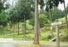 二鹿(ふたしか)野外活動センター