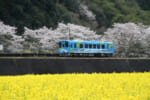 錦川清流線