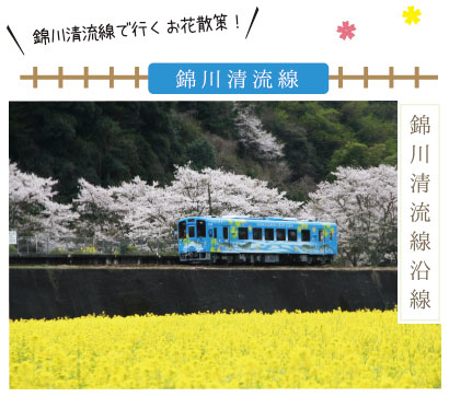 電車で花めぐり～錦川清流線