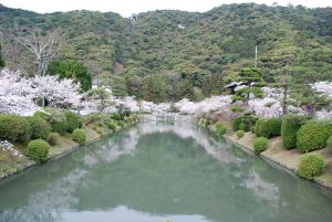 吉香公園　お堀と桜