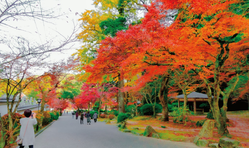 紅葉谷公園