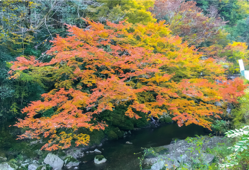 木谷峡