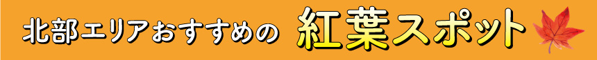 北部エリアおすすめの紅葉スポット