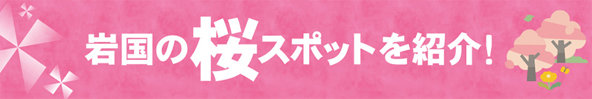 ぎゅっと岩国【2025-春夏号】岩国の花便り