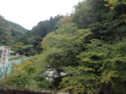 ☆やましろエリア紅葉状況2025☆