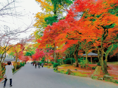 紅葉谷公園